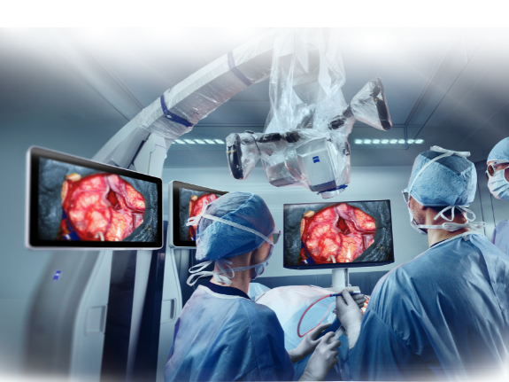 Taller internacional de cráneo en modelos anatómicos