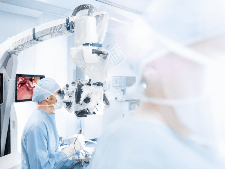 Fundamentos Quirúrgicos en Cirugía Otológica en modelo ovino